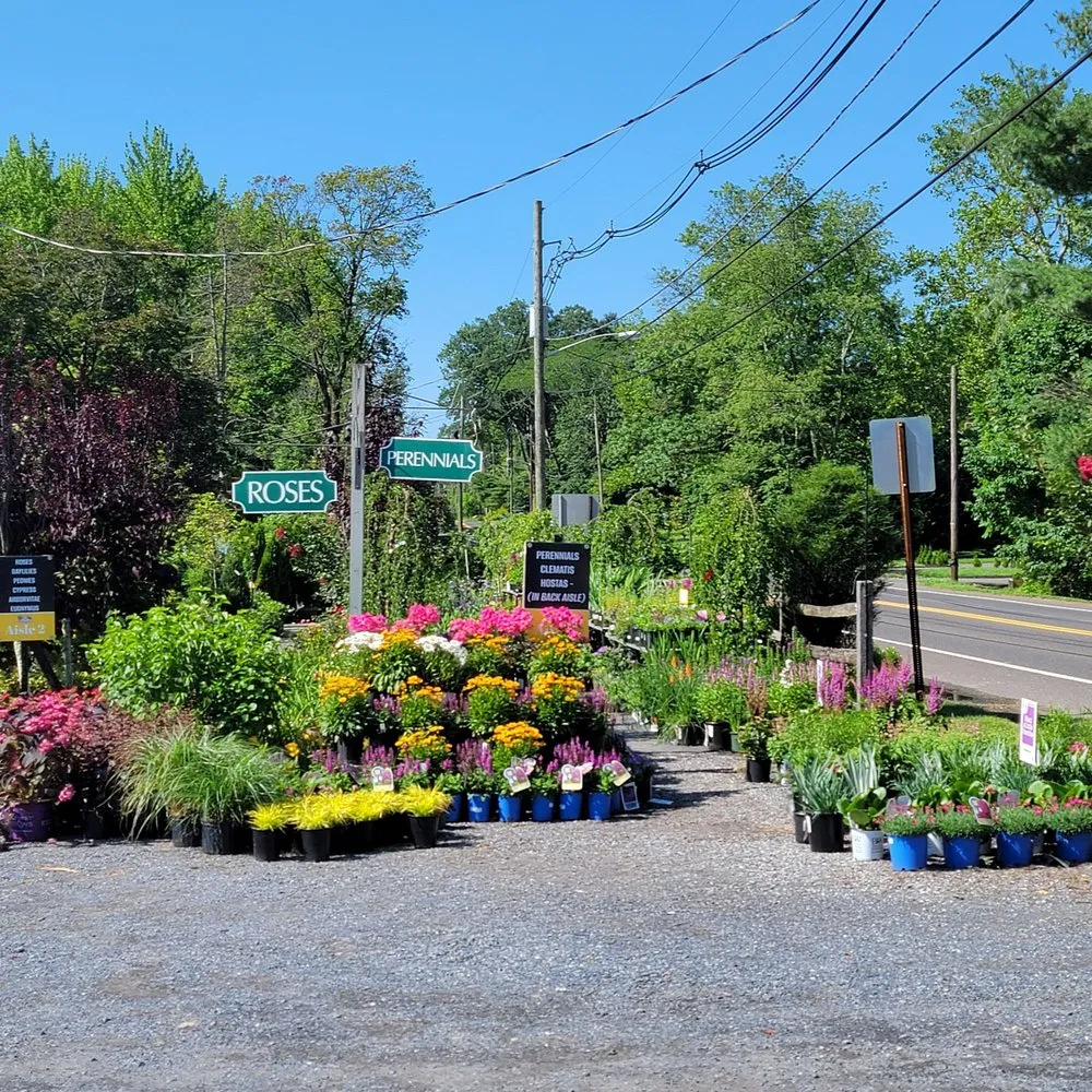 Trusted yard cleanup service in Moorestown, NJ by Flagg's Garden Center & Landscaping