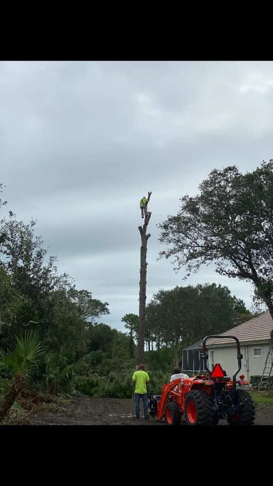 Trusted yard cleanup service near you across Palm Coast, FL - Flagler Land Management