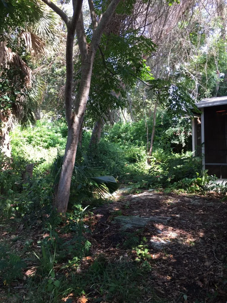 Trusted landscaping services for outdoor upgrades across Palm Coast, FL - Flagler Land Management