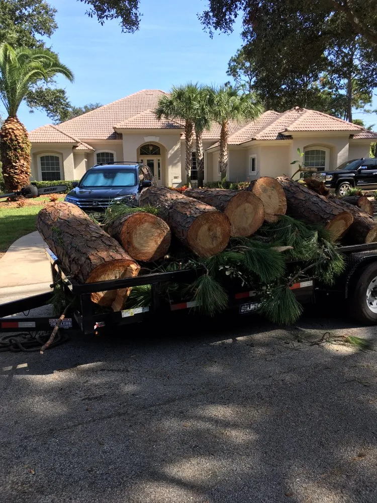 Professional residential landscaping for outdoor upgrades in Palm Coast, FL by Flagler Land Management