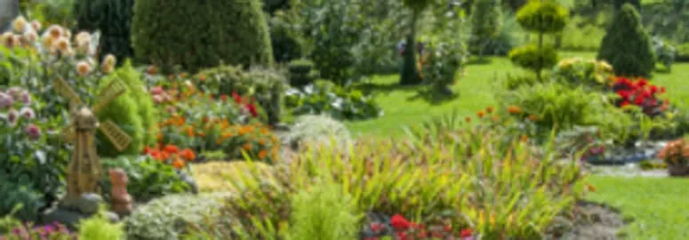 Expert outdoor landscaping for outdoor upgrades across Palm Coast, FL - Flagler Lawn Services