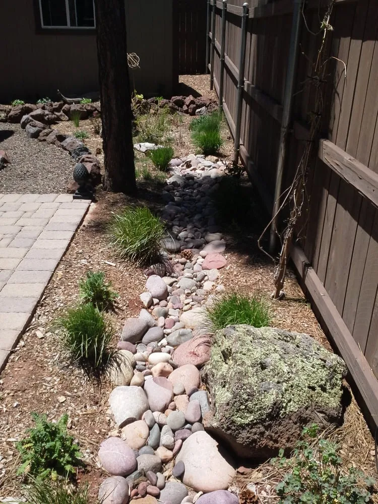 Affordable yard maintenance in Flagstaff, AZ - Flagstaff Native Plant & Seed