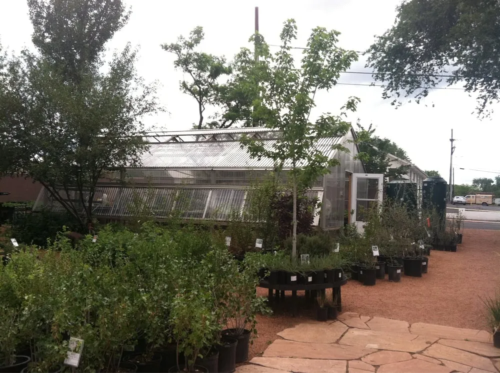 Affordable residential landscaping in Flagstaff, AZ by Flagstaff Native Plant & Seed