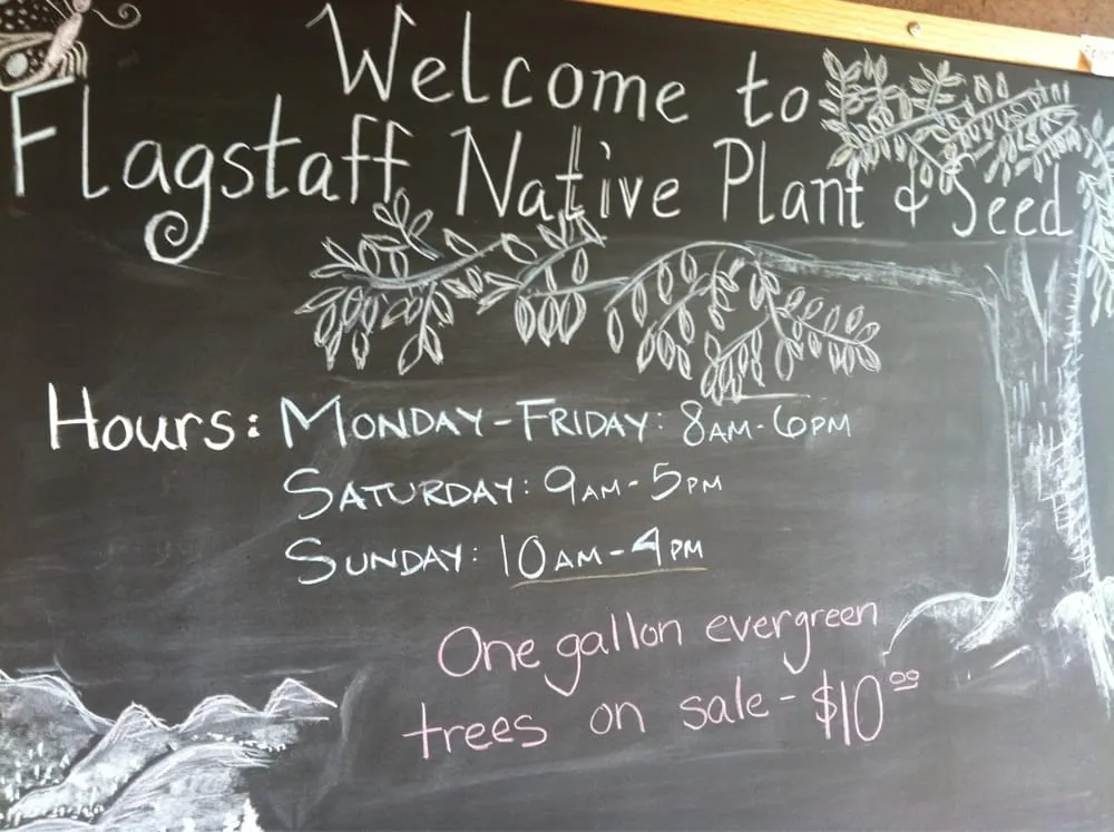 Expert lawn mowing service with custom design across Flagstaff, AZ - Flagstaff Native Plant & Seed