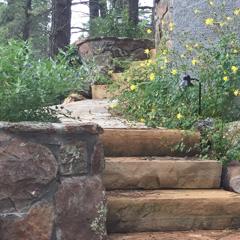 Top-rated landscape installation in Flagstaff, AZ - Flagstaff Native Plant & Seed