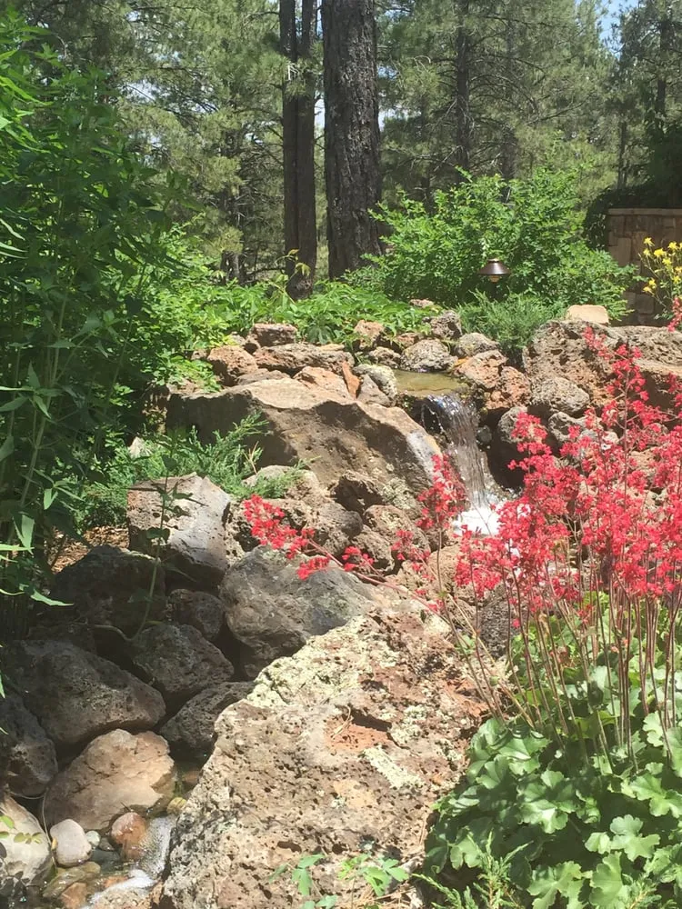 Custom yard cleanup service experts serving Flagstaff, AZ - Flagstaff Native Plant & Seed