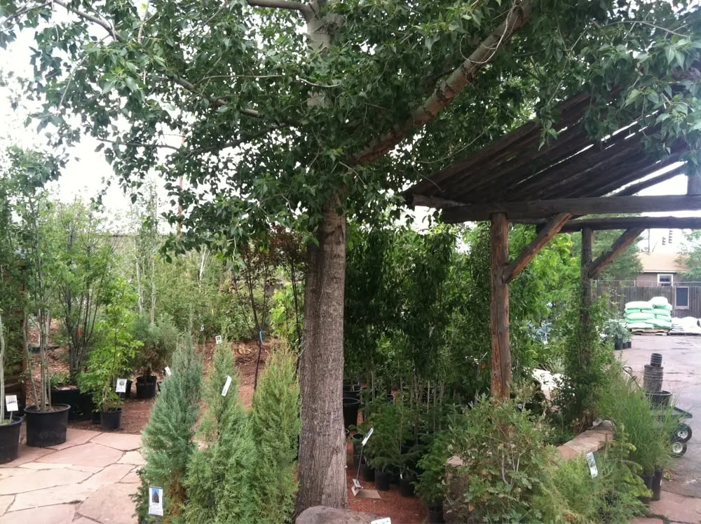Trusted landscaping services in Flagstaff, AZ by Flagstaff Native Plant & Seed
