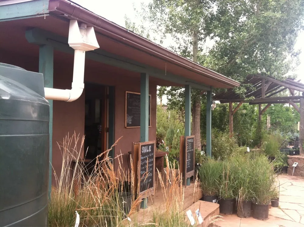 Local yard cleanup service in Flagstaff, AZ - Flagstaff Native Plant & Seed