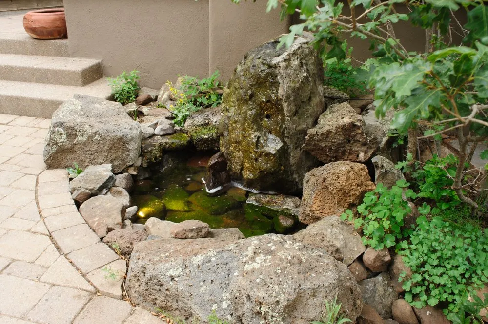 Affordable landscaping services for homes in Flagstaff, AZ by Flagstaff Native Plant & Seed