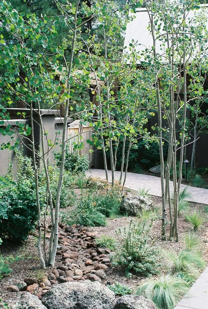 Custom residential landscaping for residential properties in Flagstaff, AZ by Flagstaff Native Plant & Seed