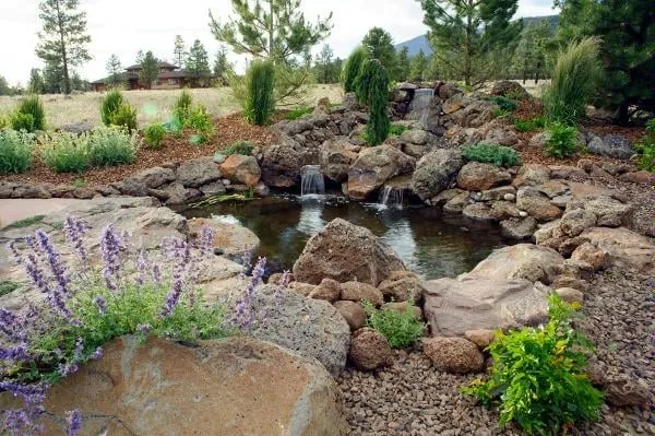 Professional garden landscaping in Flagstaff, AZ - Flagstaff Native Plant & Seed