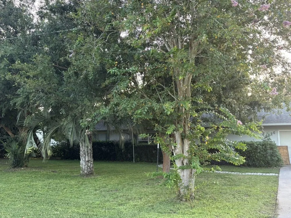 Local yard cleanup service experts serving Belleview, FL - Flahertys Green Team