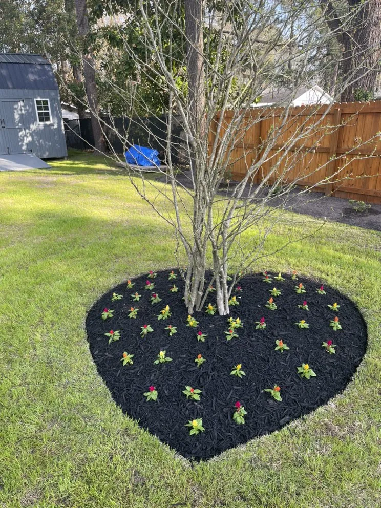 Professional yard cleanup service in Washington, NC - Flako’s Landscaping