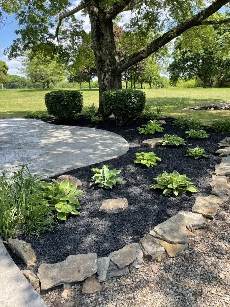 Expert landscape installation in Washington, NC by Flako’s Landscaping