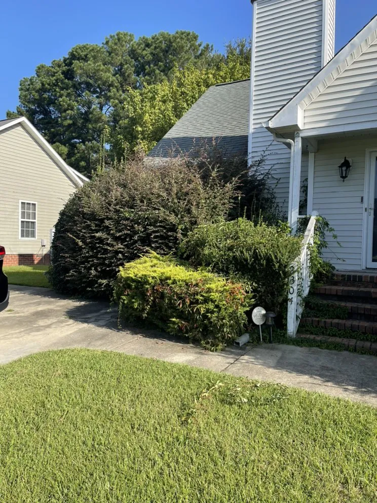 Top-rated landscaping services in Washington, NC by Flako’s Landscaping