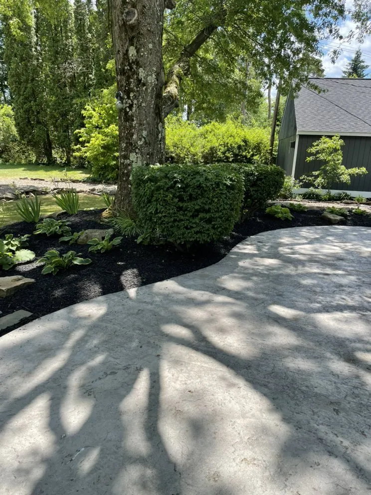 Top-rated lawn care service for homes in Washington, NC by Flako’s Landscaping