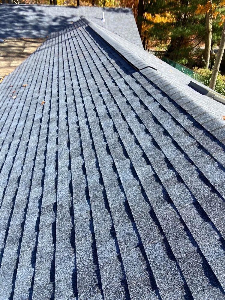 Affordable yard maintenance for outdoor upgrades in College Park, MD by Flamenco Home Solutions