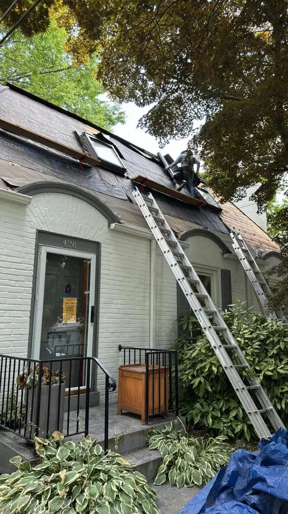 Local yard maintenance in College Park, MD by Flamenco Home Solutions