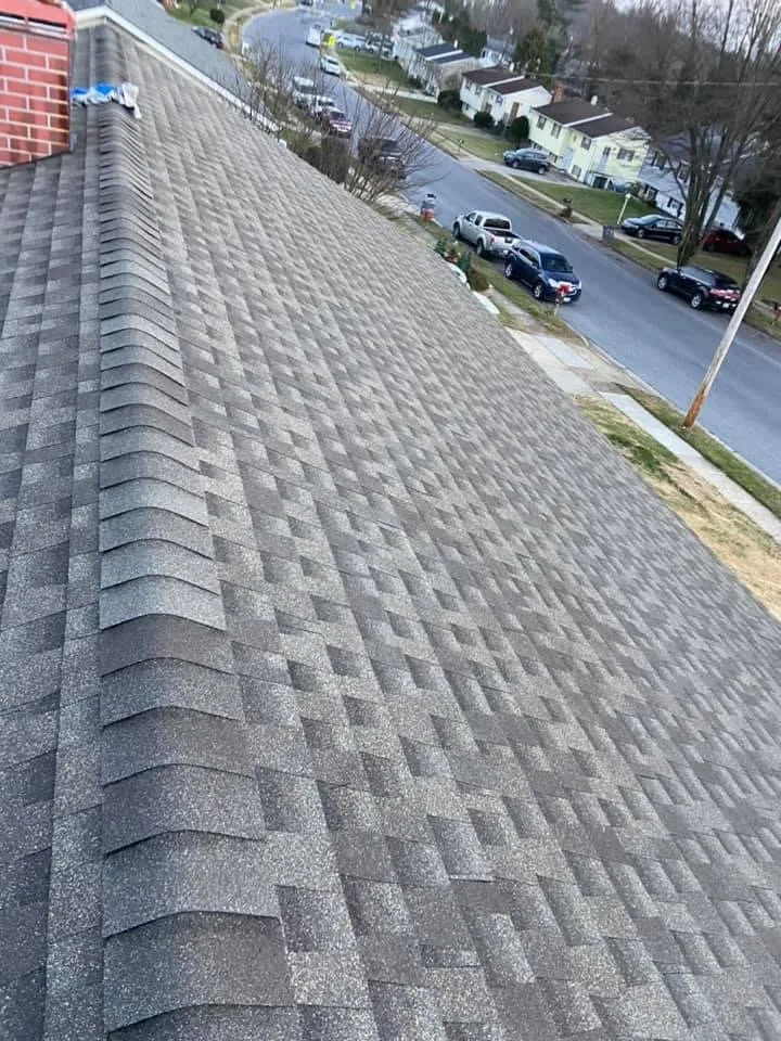 Top-rated yard maintenance experts serving College Park, MD - Flamenco Home Solutions