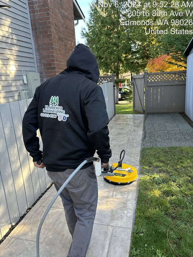 Trusted yard maintenance experts serving Edmonds, WA - Flamenco Landscaping