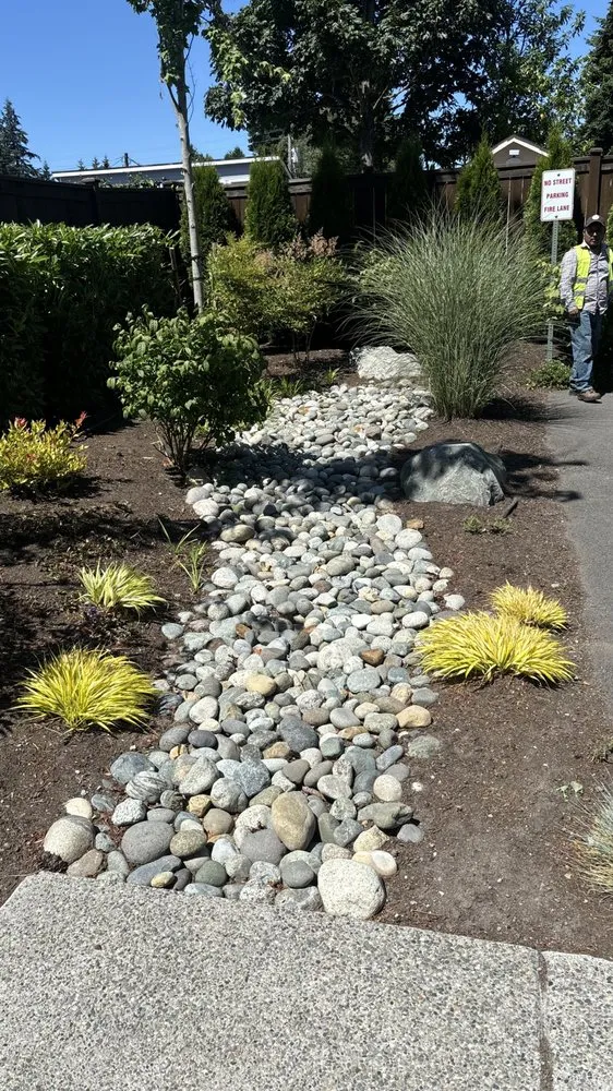 Local yard cleanup service in Edmonds, WA by Flamenco Landscaping