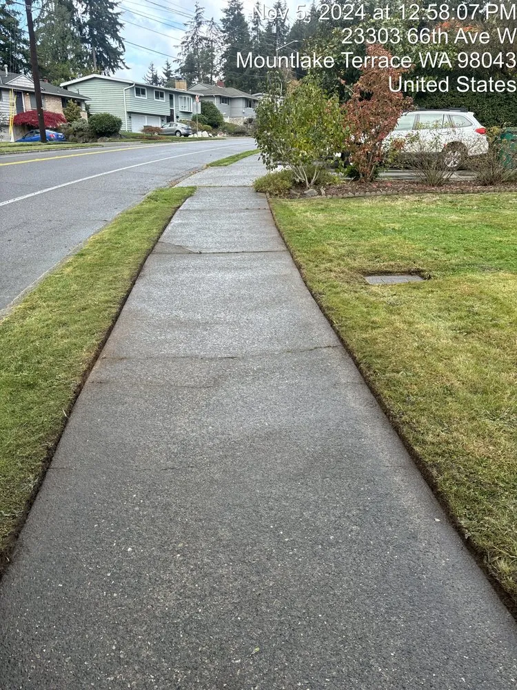 Professional lawn care service in Edmonds, WA by Flamenco Landscaping