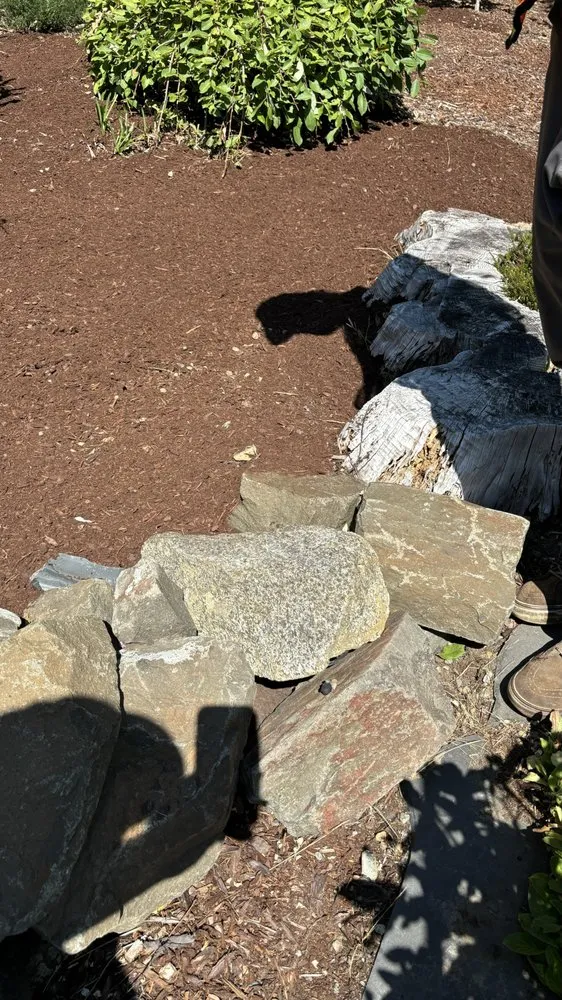 Affordable outdoor landscaping for outdoor upgrades in Edmonds, WA by Flamenco Landscaping