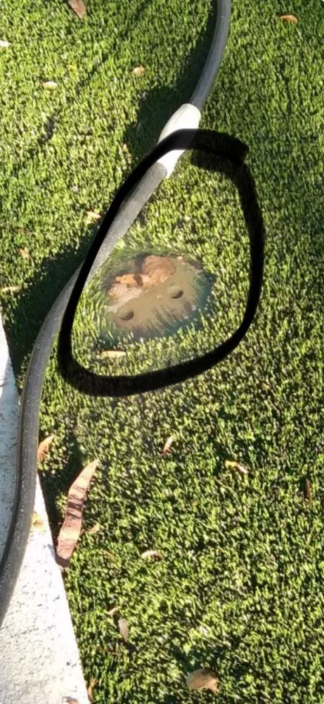 Custom garden landscaping in Peoria, AZ by Flaming Phoenix Landscaping