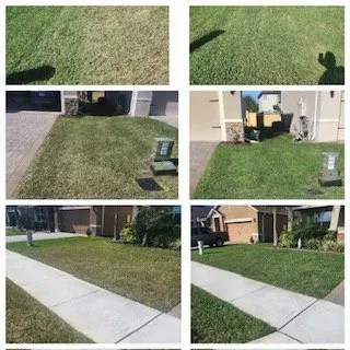 Local lawn mowing service in Deltona, FL by Flamingo Lawn and Pest Control