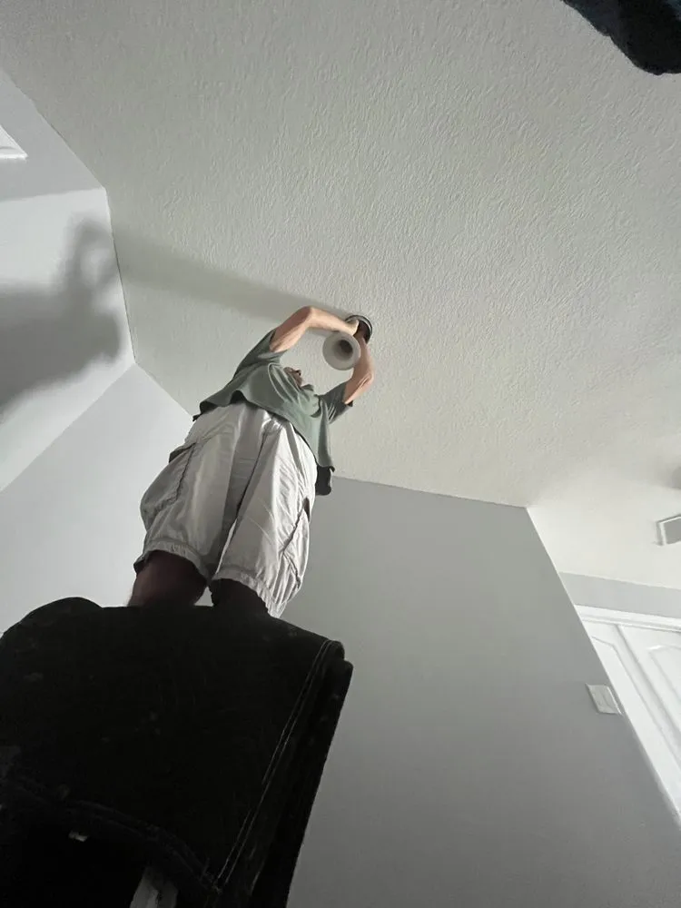 Expert outdoor landscaping in Orlando, FL by Flamingo Services