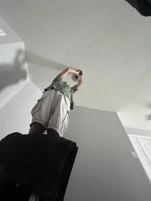 Flamingo Services Logo