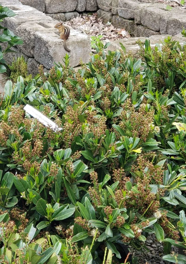 Reliable landscape installation experts serving Floyds Knobs, IN - Flanagan Landscape & Design