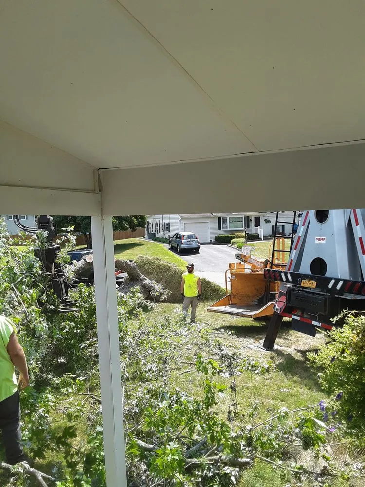 Top-rated landscape installation experts serving New Windsor, NY - Flanagan Tree Service