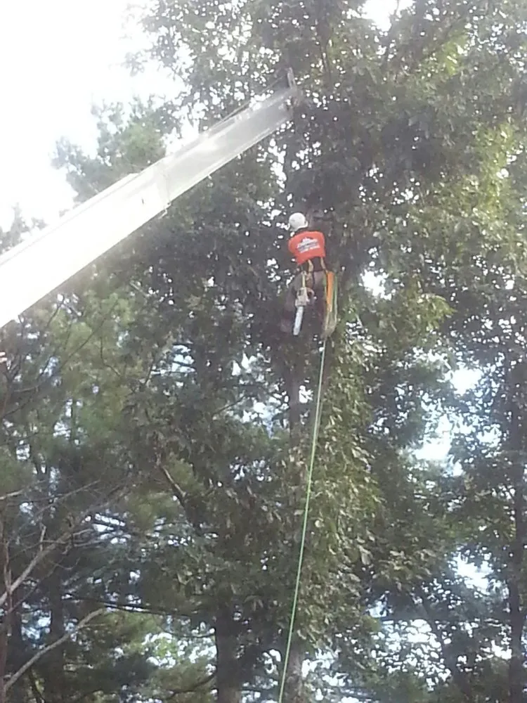 Affordable landscape installation in New Windsor, NY - Flanagan Tree Service