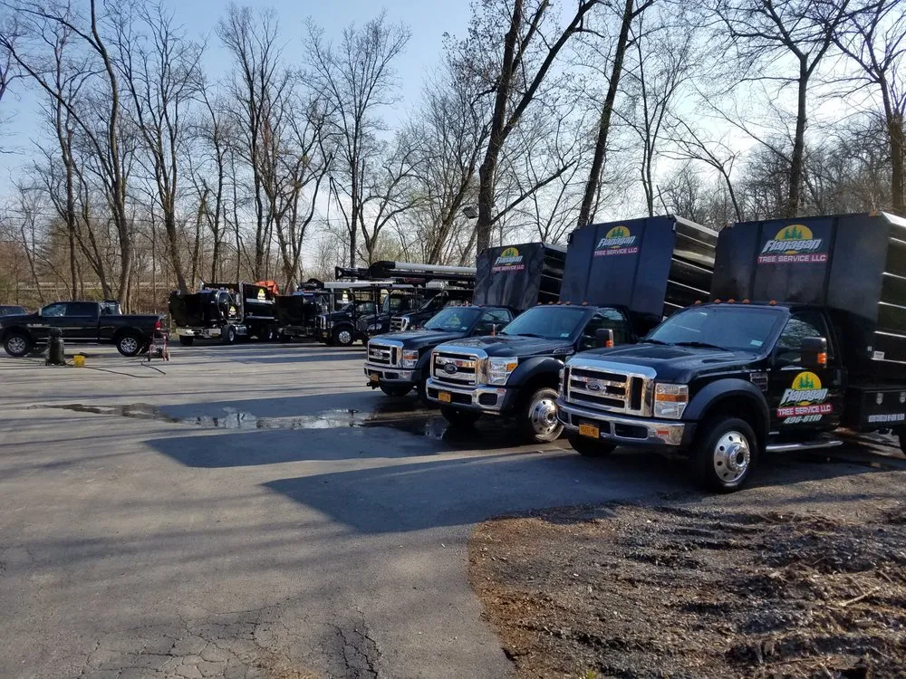 Top-rated outdoor landscaping for year-round maintenance across New Windsor, NY - Flanagan Tree Service