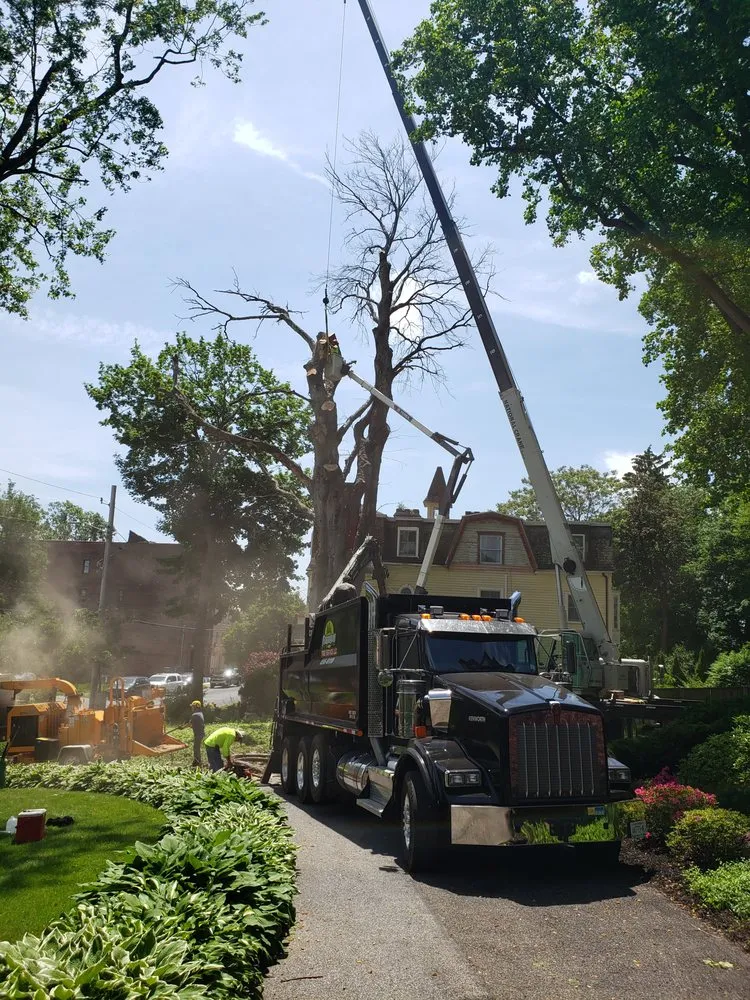 Professional landscape installation for homes in New Windsor, NY by Flanagan Tree Service