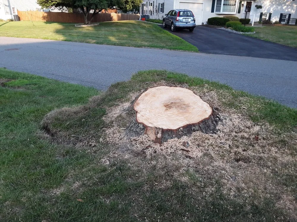 Affordable garden landscaping in New Windsor, NY - Flanagan Tree Service