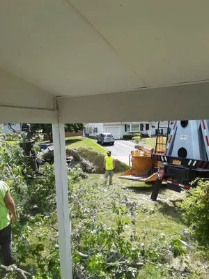 Flanagan Tree Service