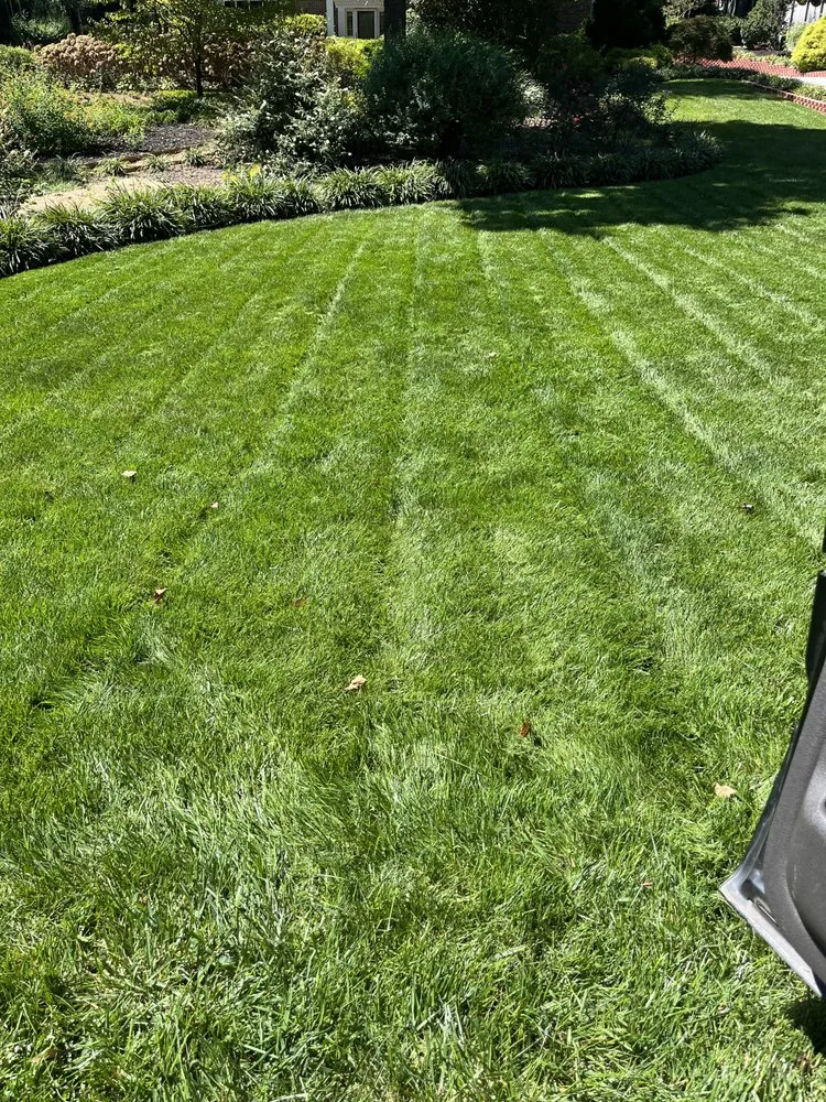 Professional residential landscaping for residential properties in King, NC by Flanary Brothers Landscaping