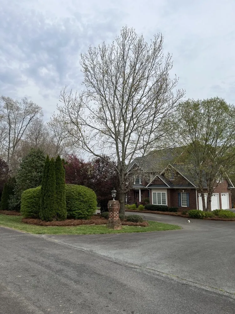 Top-rated lawn care service in King, NC - Flanary Brothers Landscaping