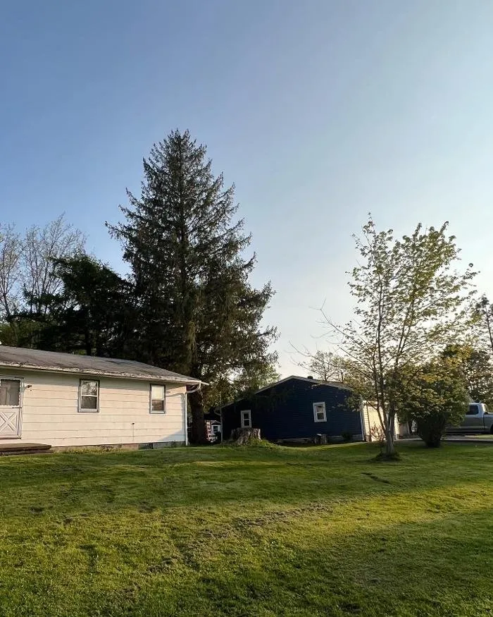 Expert yard cleanup service experts serving Holland, NY - Flannel Man Landscaping and Tree Service