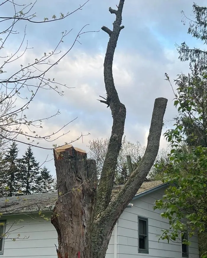 Trusted garden landscaping in Holland, NY by Flannel Man Landscaping and Tree Service