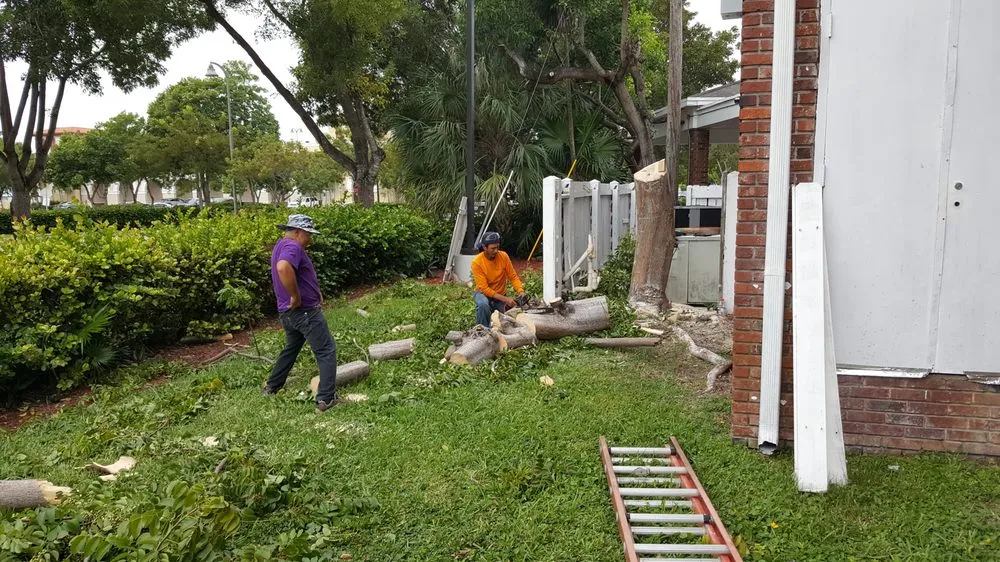Professional garden landscaping for beautiful yards across Miami Shores, FL - Flash Garden