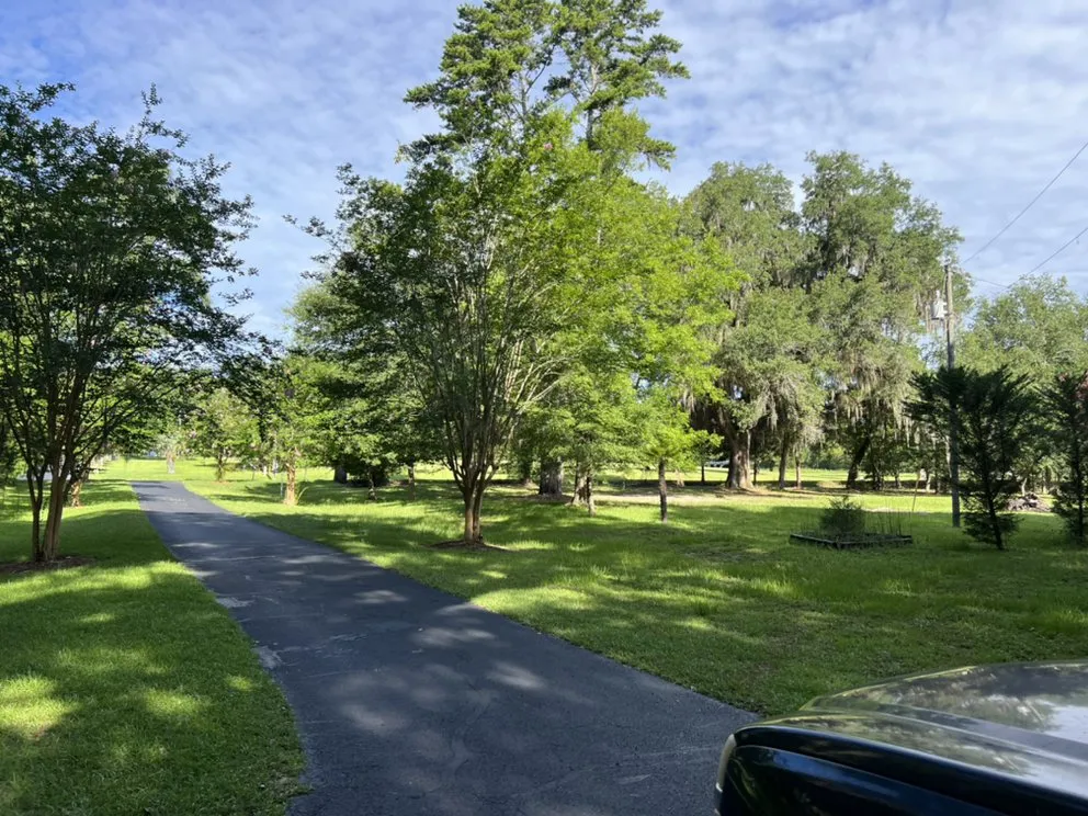 Professional landscaping services for beautiful yards across Tallahassee, FL - Flash Lawn Maintenance