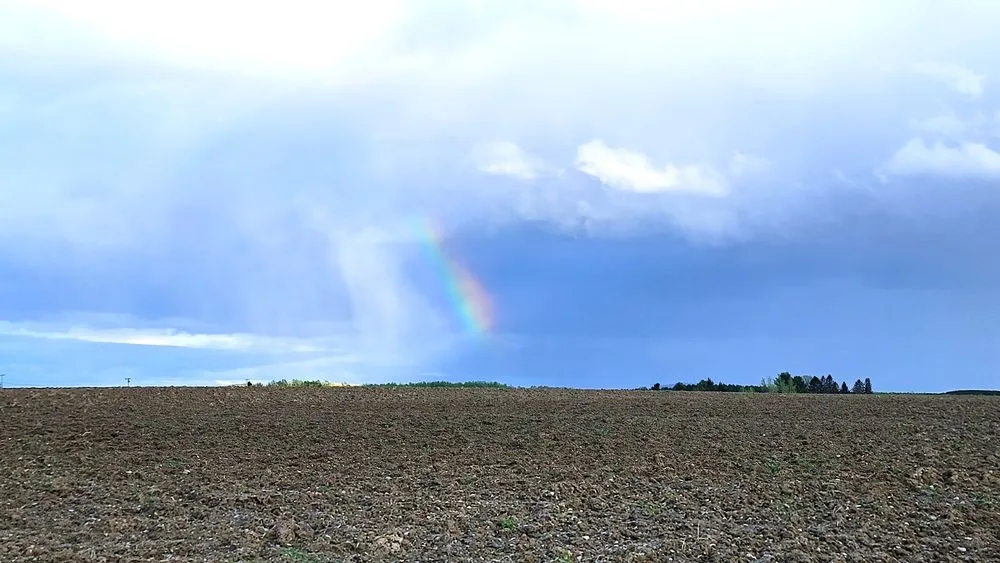 Top-rated landscape design for year-round maintenance in Caribou, ME by Flat Fee Plowing & Property Services