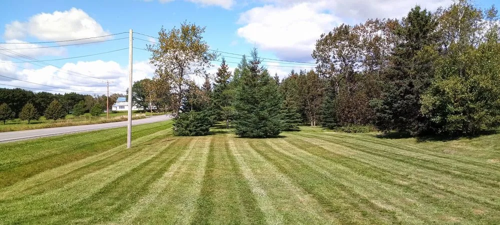 Expert yard maintenance for residential properties in Caribou, ME by Flat Fee Plowing & Property Services