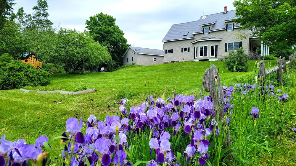 Affordable yard cleanup service for outdoor upgrades across Caribou, ME - Flat Fee Plowing & Property Services