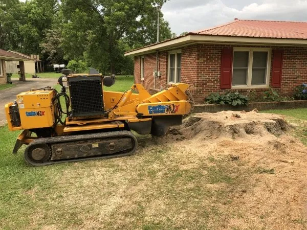 Local yard cleanup service for homes in Appleton, WI by Flat Out Stump Grinding & Lawn Rolling