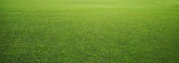 Local landscaping services for year-round maintenance across Appleton, WI - Flat Out Stump Grinding & Lawn Rolling