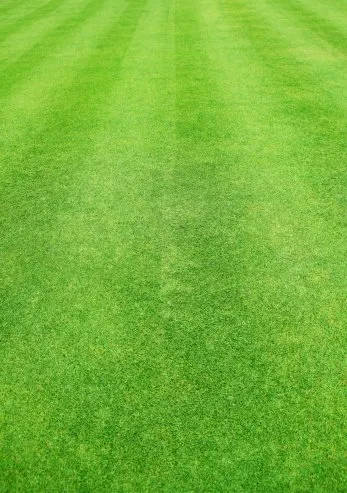 Local lawn care service near you in Appleton, WI by Flat Out Stump Grinding & Lawn Rolling